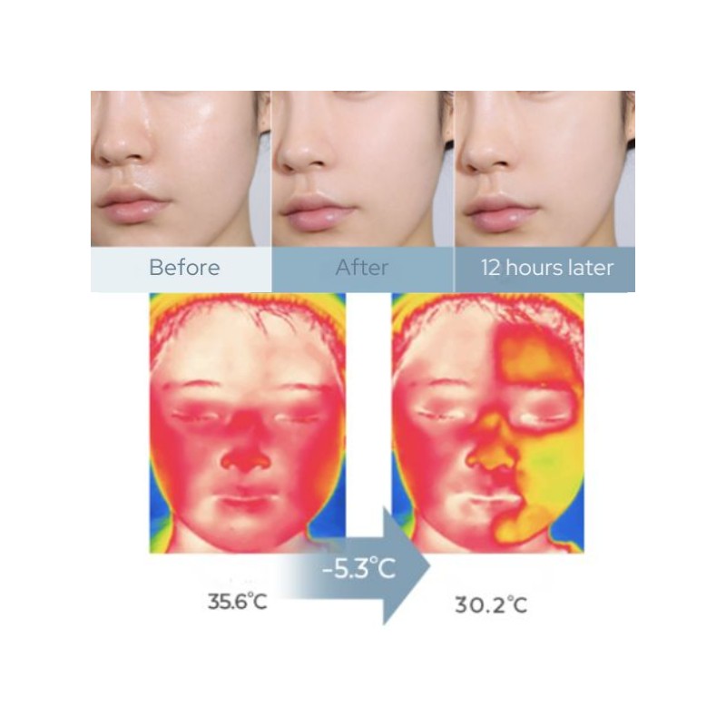 A'PIEU Juicy Pang Water Blusher + Water Lock Finisher +