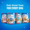 Dentalife DentaLife ActivFresh Pack of 3 Dog Chews for Small