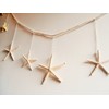 Hawaiian Decor Starfish 7P Ornament Starfish Garland Hawaiian Sundries Display