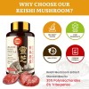 Suplemento De Hongos Reishi Japonés 800mg Con Extracto De Ho