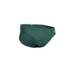 ARENA Men's Santamarias R Swim Briefs (Pack of 1)