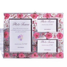 ORANGESCE Time-consolidating Flower Garden, Triple Picture Frame, Preserved Flowers, Trapped in Time, For Women and Girls, Girlfriend, Mother, Valentine's Day, Anniversary, Birthday, Popular, Wedding