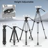 SCG Basic 65" Video Tripod with Fluid Head, F5 Professional