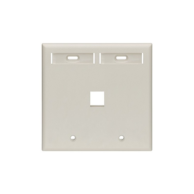 Leviton 1-Port Dual Gang QuickPort Wallplate with ID Windows, 42080-1TP,