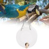 Acrylic Bird Feeder Box AntiScatter Hanging Feeding Box Outdoors Transparent