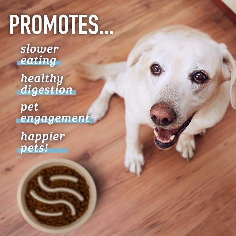 Leashboss Slow Feeder Dog Bowls - Cup Maze Puzzle Food