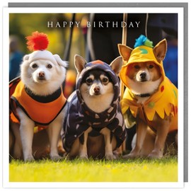 Tracks Publishing Funny Birthday Card - Happy Birthday Card with Humorous Dogs in Costumes Design - Birthday Card for Men/Women