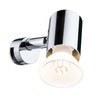 Paulmann Deckenleuchte Mintaka IP20 max 1x20W GU10 Chrom 230V Metall