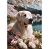 Golden Retriever White - Best of Breed DCR Spring Garden