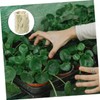 Gogogmee 22pcs Hydroponics Starter Plugs for Soilless Culture Grow Cubes