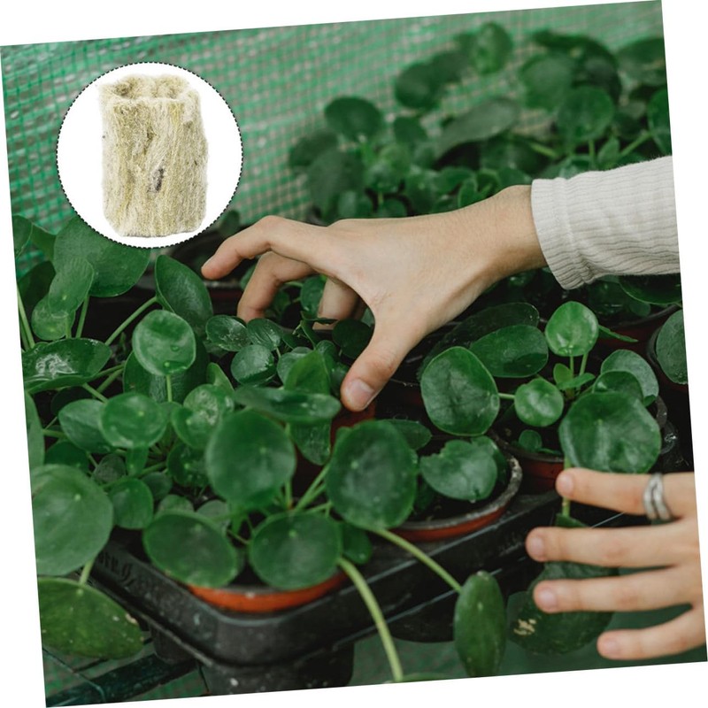 Gogogmee 22pcs Hydroponics Starter Plugs for Soilless Culture Grow Cubes