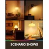 3 Way Light Bulbs 50 100 150w Equivalent, Soft White