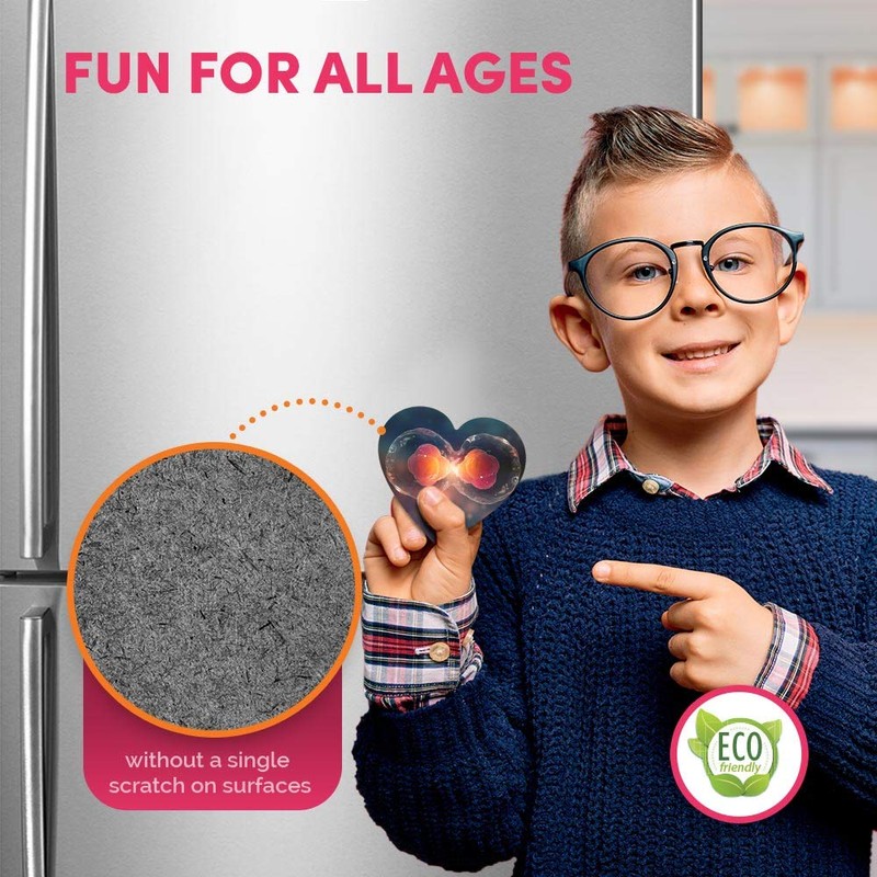 1 x Heart MDF Magnets - Cell Division Biology Science