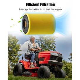 796078 Carburetor Kit Fit for Craftsman T100 CMXGRAM201302 11.5HP 344CC Replace 590400 591731 796109 594593