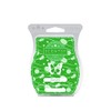 Scentsy Coco Lime Bar