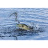 Buckeye Lures G-Buzz Bait 1/4 OZ. / Black W/Black Blade