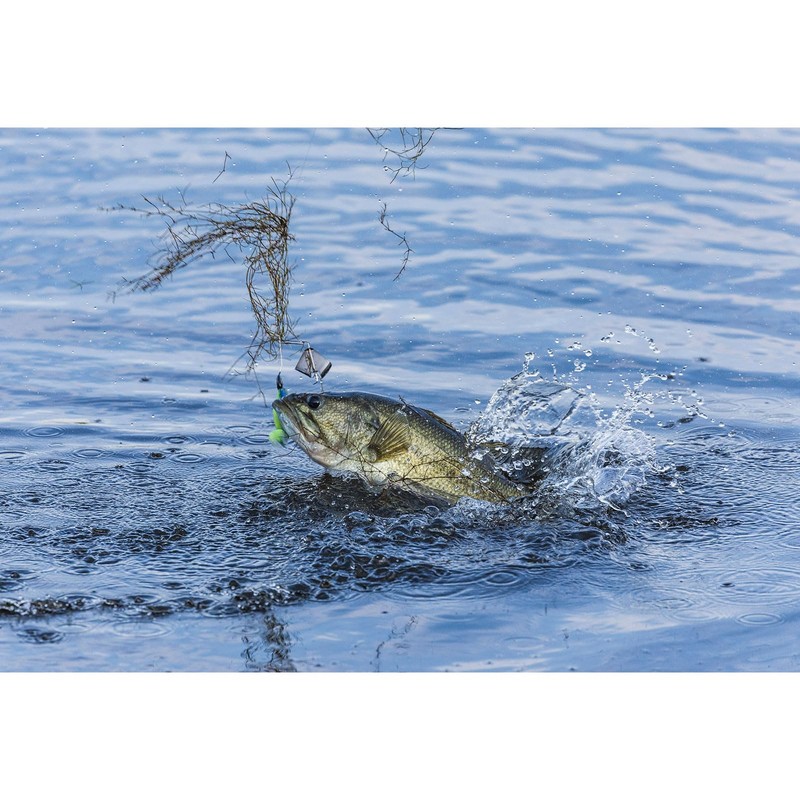 Buckeye Lures G-Buzz Bait 1/4 OZ. / Black W/Black Blade