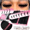 260D Anime Lash Clusters with spikes