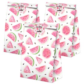 Watermelon Goodie Bags-24 Pcs Watermelon Party Favors Candy Bags with Stickers, Watermelon Goody Gift Treat Bags Watermelon Themed Birthday Party Supplies