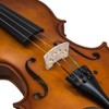 SKY 4/4 Full Size SKYVN102 Solid Wood Violin with Lightweight