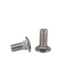 2 x Stainless Steel Square Carriage Bolts M6 x 16mm