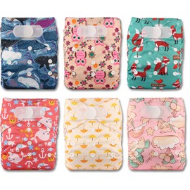 Littles and Bloomz FLV2-0608 Reusable Cloth Nappy (Standard Velcro) with 6 Nappies