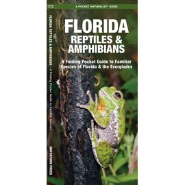 Florida Reptiles & Amphibians: A Folding Pocket Guide to Familiar Species of Florida & the Everglades (Wildlife and Nature Identification)