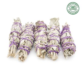 Soul Sticks 5 Pack Mini White Sage Smudge Smudging Sticks 4 Inch Long 1 Inch Thick for Home Cleansing, Meditation, & Smudging Rituals with Smudging Guide | Sustainably Sourced in California, Set of 5