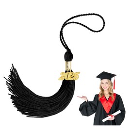 Black 2025 Tassel 2 Pcs Graduation Tassel for Graduation Cap 2025 Tassel Charms for Graduation Cap 2025 Graduation Tassel Charm 2025 Tassel Graduation Charm Graduation Tassels for Graduation Cap 2025