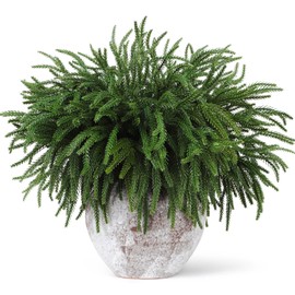 SXJINGLIMY 12 Pcs Norfolk Pine Branches, Christmas Decorations Indoor, 18" Real Touch Faux Greenery Norfolk Pine Stems for DIY Vase Christmas Garland Indoor Outdoor Christmas Decorations