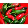 SeedsUP - 30+ Seeds Jalapeno Chili Pepper - Vegetable Green