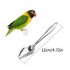 YAODHAOD 4.7" Bird Parrot Stainless Steel Metal Feeding Spoon Parrot