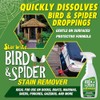 STAR BRITE Spider & Bird Stain Remover - 22 OZ