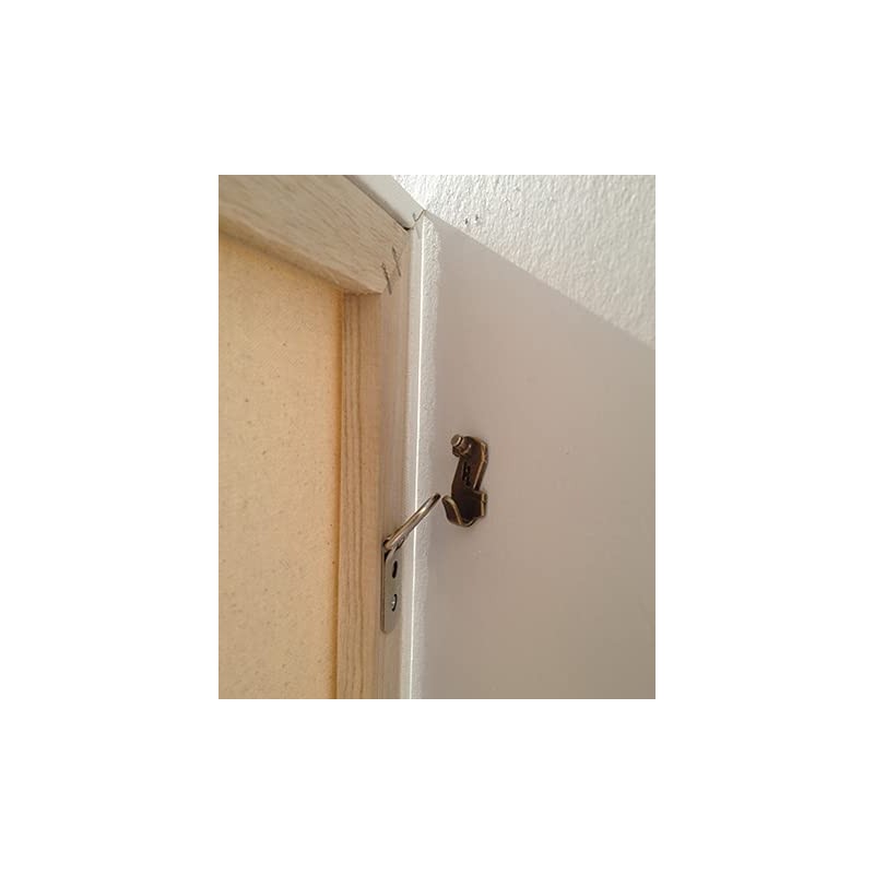 HANGZ 30001B Gallery Picture Hooks 50PAck 10LB