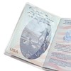 Millennial Essentials unisex-adult Waterproof Clear Passport Cover Plastic Passport Protector