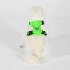 Puppia Neon Dog Harness H Sturdy Adjustable Neck and Chest