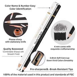 Daerthotk White and Black Color Pencils Drawing Set, 6 pcs White and 6 pcs Black Colored Sketching Pencils for Drawing, Sketching, Shading, Blending for Beginners & Artists