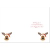 doodlecards Teacher Christmas Card Rudolph on Red Background Large A4