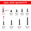 WMYCONGCONG 800pcs M2 Phillips Screws Self Tapping Self Tapping Screws