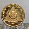 24 Hours AA Medallion 24k Gold Plated Alcoholics Anonymous Sobriety