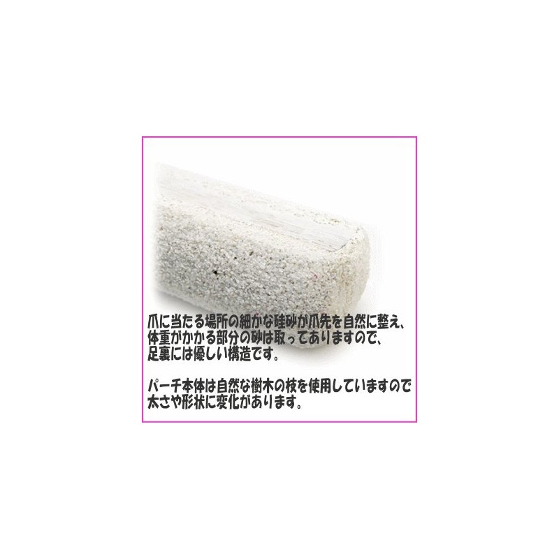 [Triple 晃 Company] bird for sandopa-ti Foot Friendly Nail Nobody