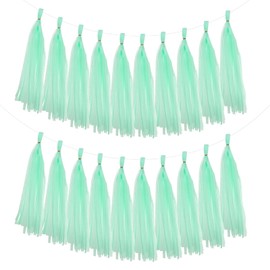 MECCANIXITY 20Pcs Tassel Garland Banner Tissue Paper for Streamers Party Decorations, Valentine's Day Birthday Decor for Women with Rope and Tie Wire (Pale Green, 14.6Inch)