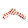 Mastery Little Dragons (White belt/double orange stripe, 1)