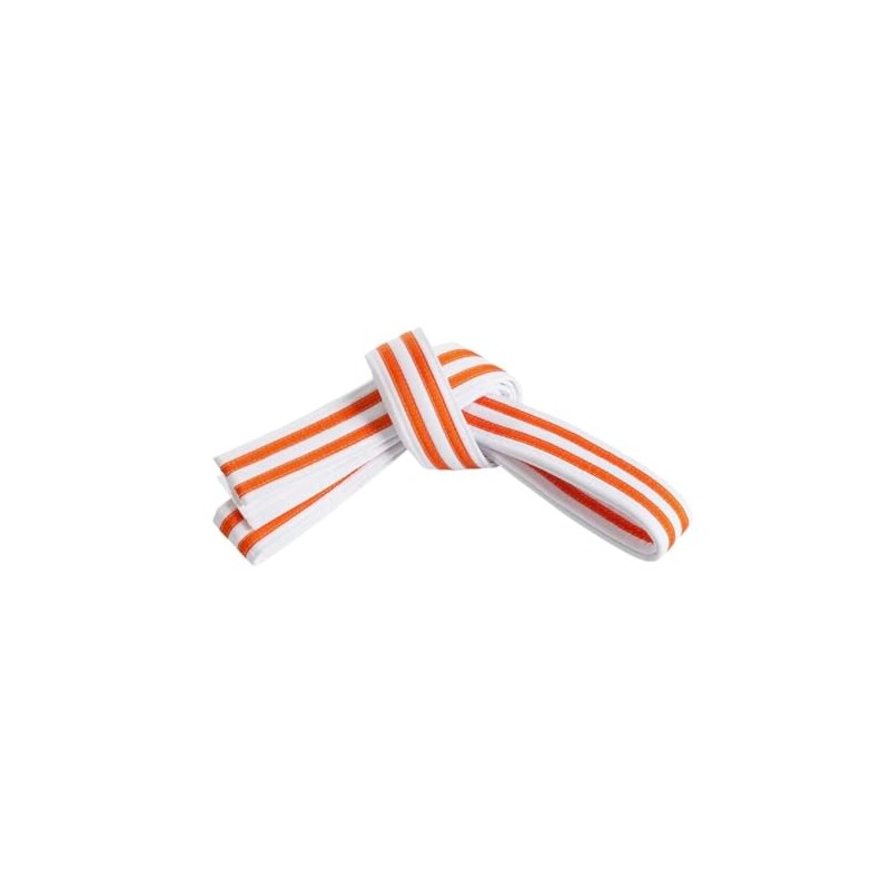 Mastery Little Dragons (White belt/double orange stripe, 1)