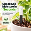 Soil Moisture Tester for Indoor Plants & Garden Watering –