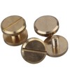RDEXP Solid Brass Flat Head Nail Rivets Chicago Screws and