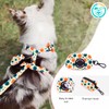 SUPER DOGGY No Pull Dog Harness, Leash and Bag, Breathable