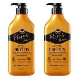 Elastine Propoliterra Shampoo for Damaged Hair Peony Fragrance, 500ml, 2 Pieces / 엘라스틴 프로폴리테라 손상된 모발용 샴푸 피오니 향, 500ml, 2개