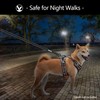 PoyPet No Pull Dog Harness with Neck Release Buckle, Reflective