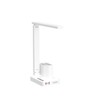 COZOO LED Desk Lamp with 2 USB Charging Ports,Type C